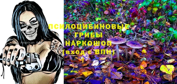 бошки Белокуриха