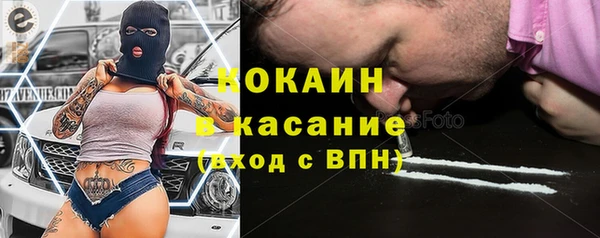 бошки Белокуриха