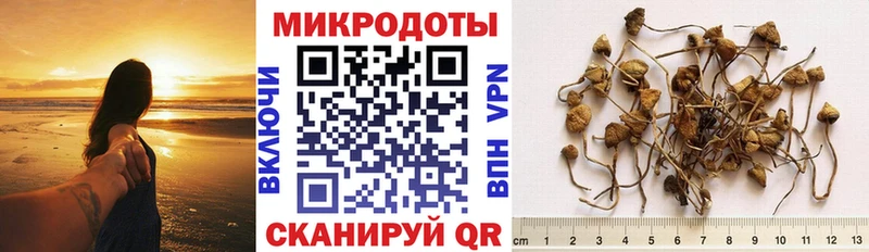 Псилоцибиновые грибы Magic Shrooms продажа наркотиков Екатеринбург